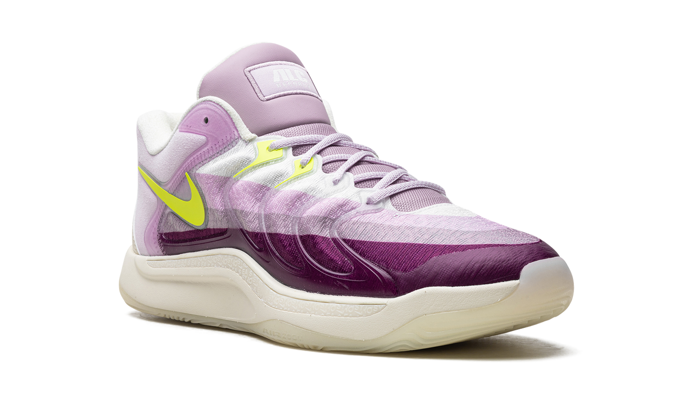 KD 17 "The Alchemist" HJ4464 100