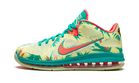 LeBron 9 Low "LeBronald Palmer" DO9355 300