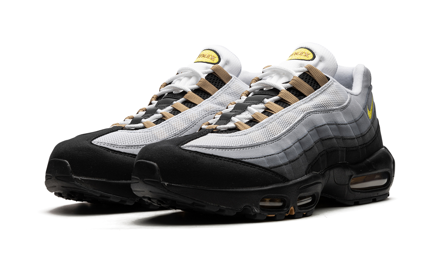 Air Max 95 "ICONS" DX4236 100