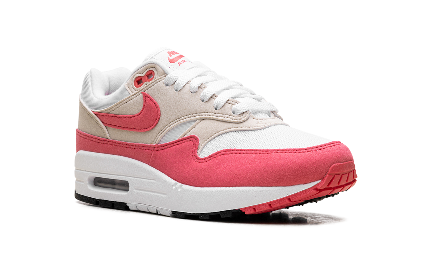 Air Max 1 WMNS "Aster Pink" DZ2628 110