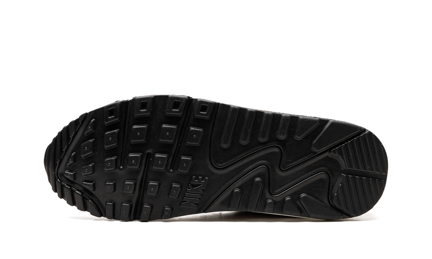 AIR MAX 90 WMNS "United In Victory" FB2617 100