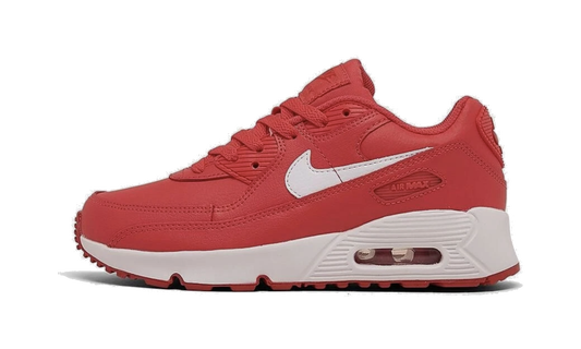 AIR MAX 90 LEATHER PS "Track Red White Mystic Red" DV3608 600