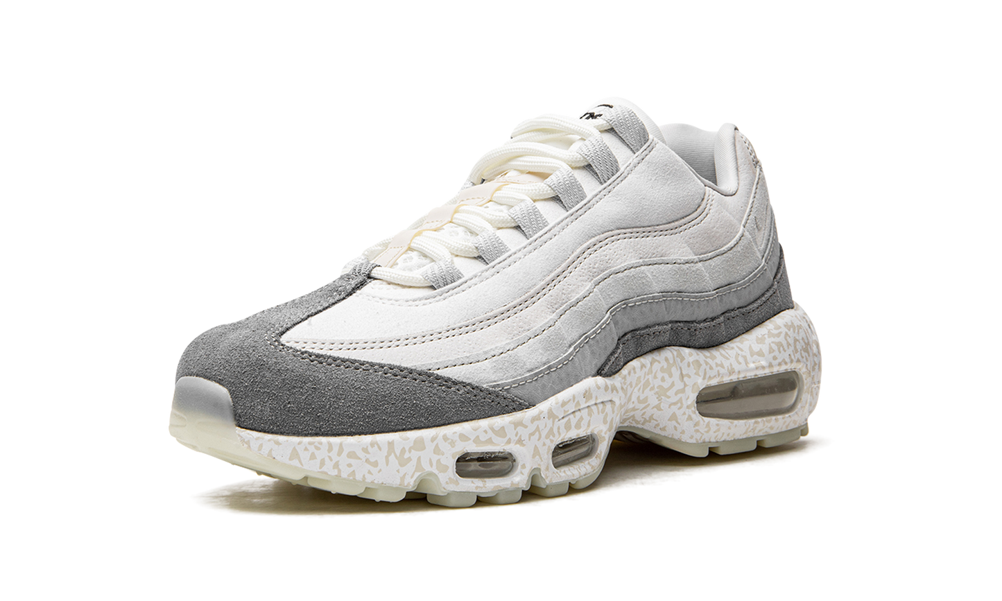 Air Max 95 QS "Light Bone-Glow in the Dark" DV2593 100