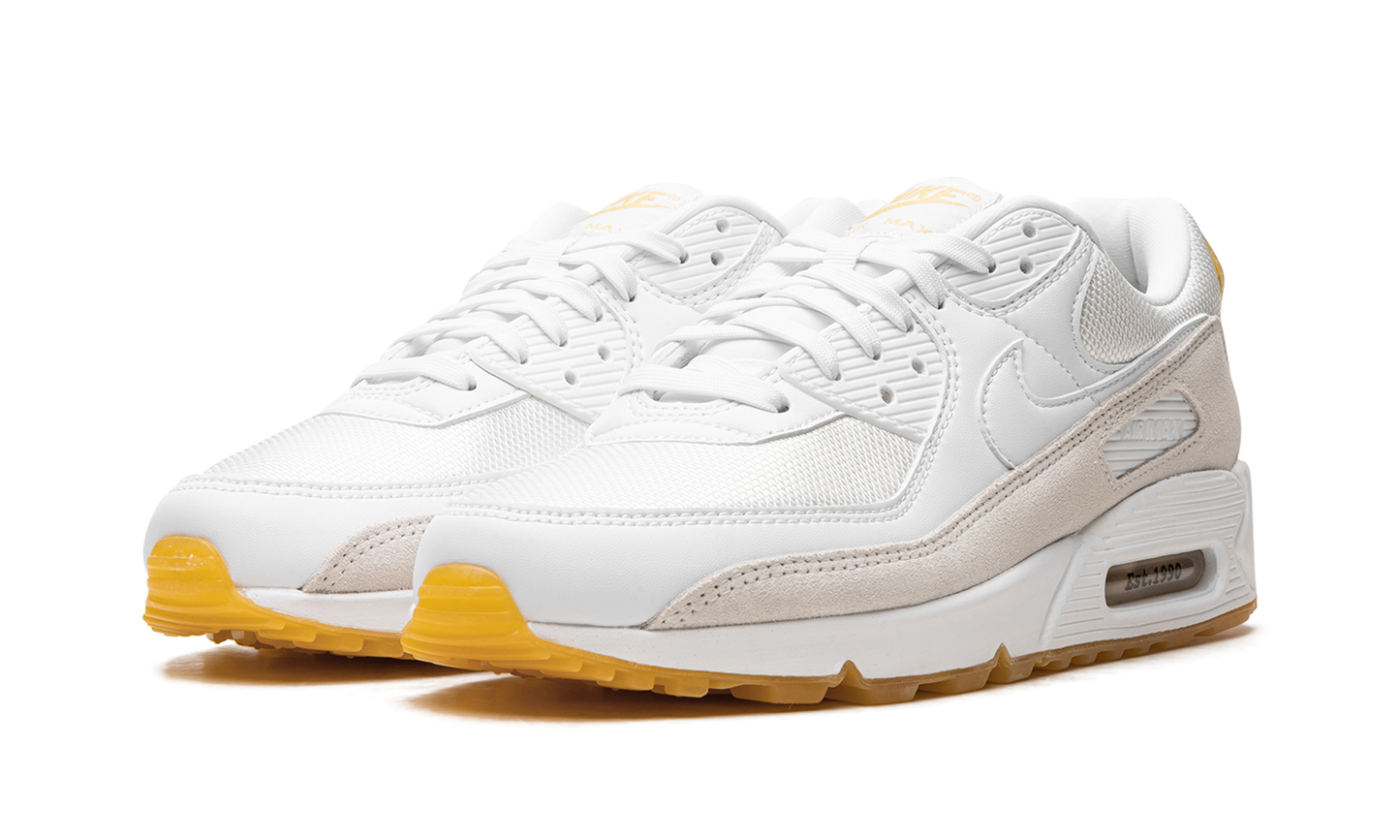 Air Max 90 "Frank Rudy" DV1734 100