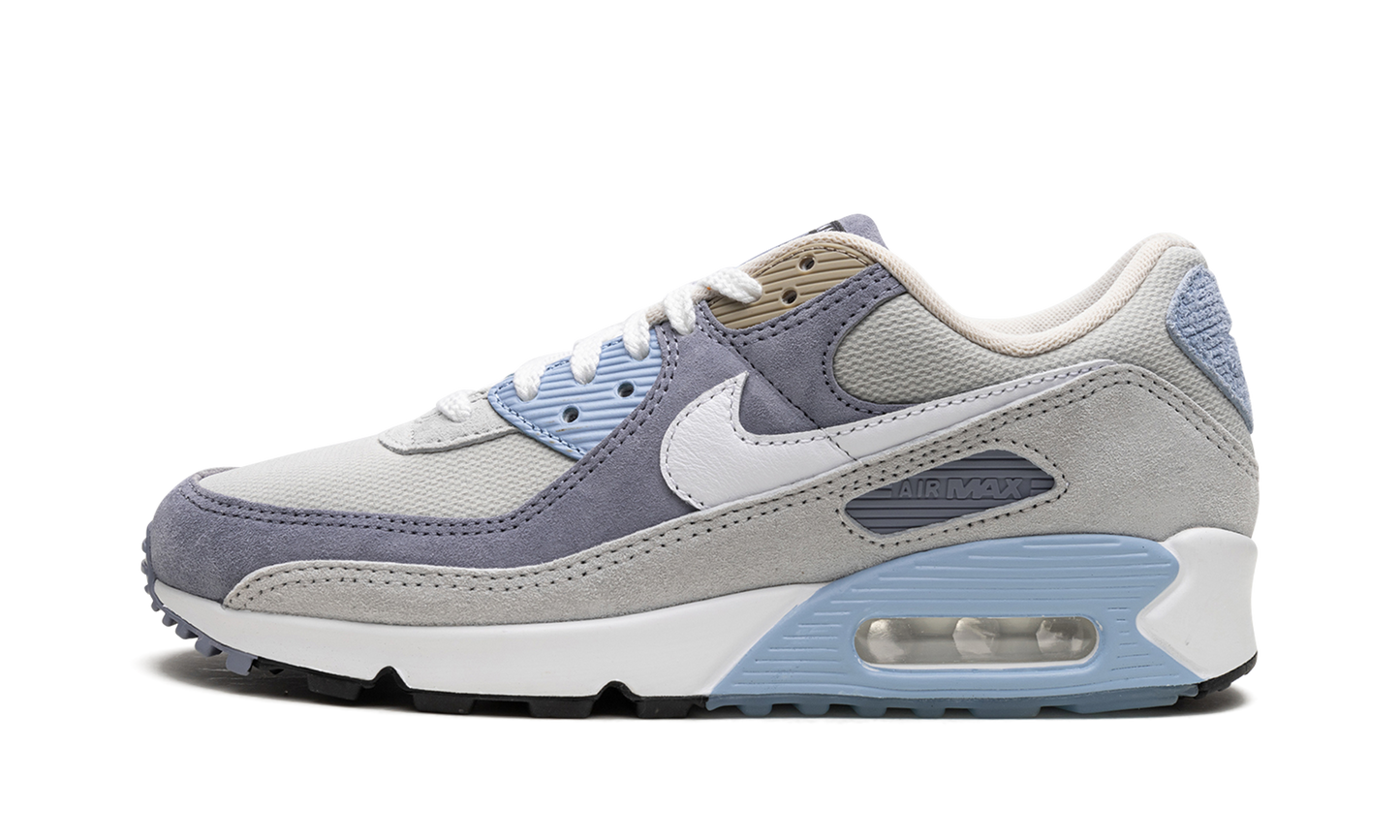 Air Max 90 "Ashen Slate" DM0035 400