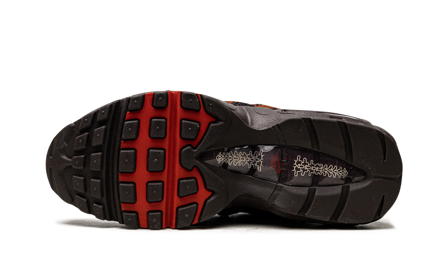 AIR MAX 95 MNS WMNS "Anatomy" DZ4710 200