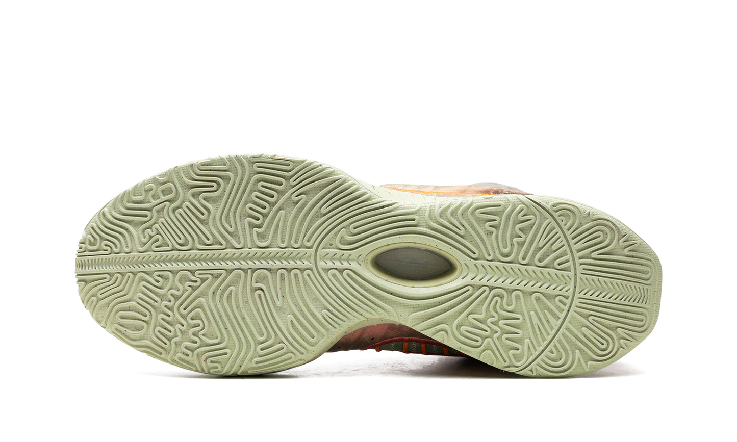 LeBron 21 "Queen Conch" FN0708 800