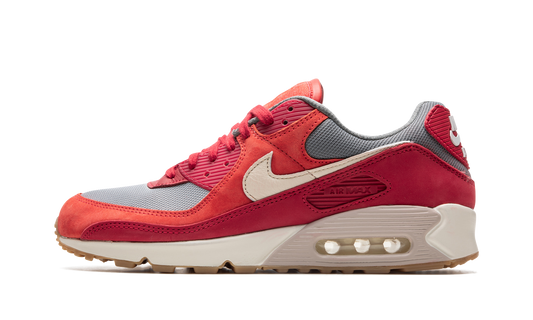 Air Max 90 PRM "Gym Red" DH4621 600