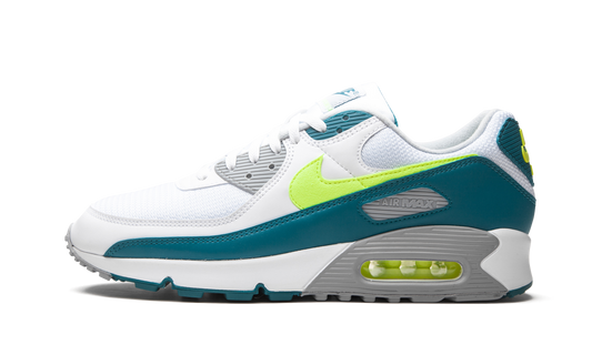 Air Max 90 "Spruce Lime" CZ2908 100