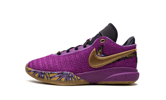 LeBron 20 GS "Young Heirs" FD0207 500