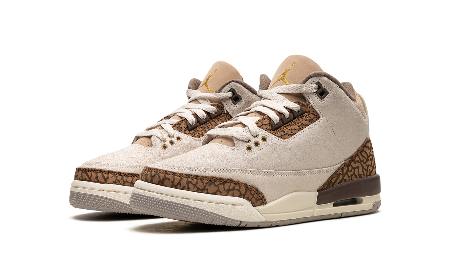 Air Jordan 3 GS "Palomino" DM0967 102