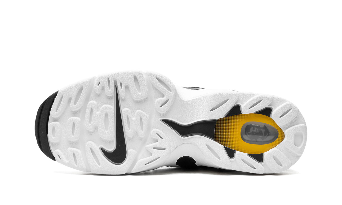 Air DT Max '96 "Black Varsity Maize" HM8249 001