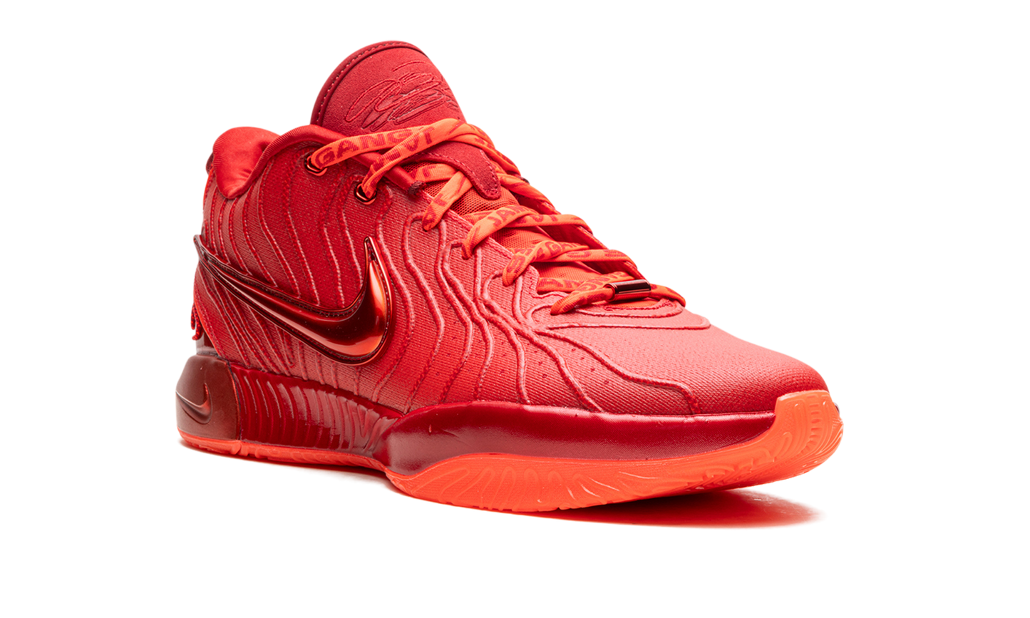 LeBron 21 "James Gang" HF5951 600