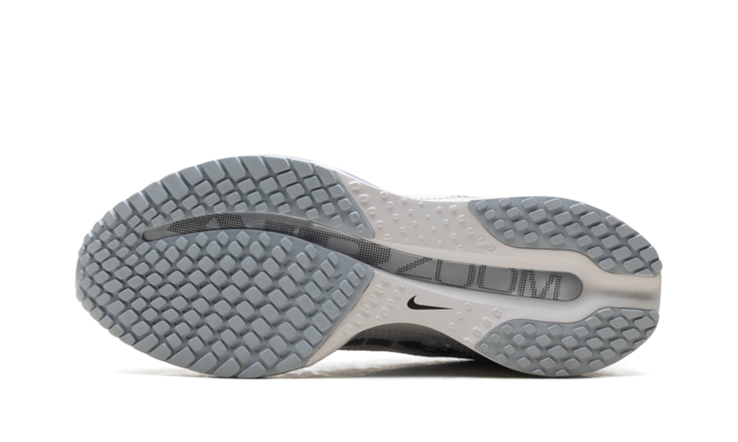 Pegasus Premium WMNS "Metallic Silver" HQ2593 005