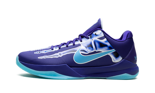 Zoom Kobe 5 Protro "X-Ray" HJ4303 400