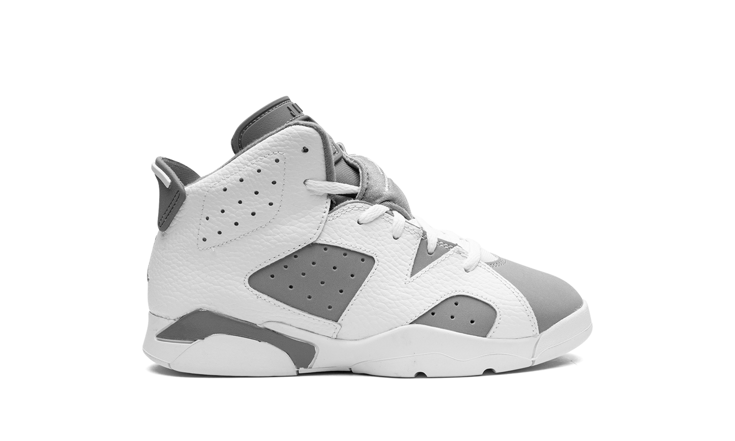 Air Jordan 6 PS "Cool Grey" DV3605 100