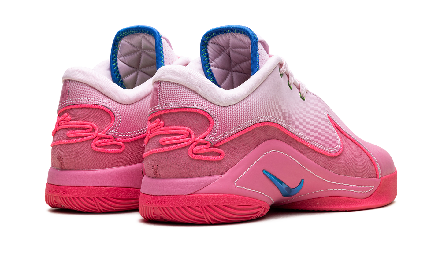 LeBron 22 "I Promise" HV8456 600