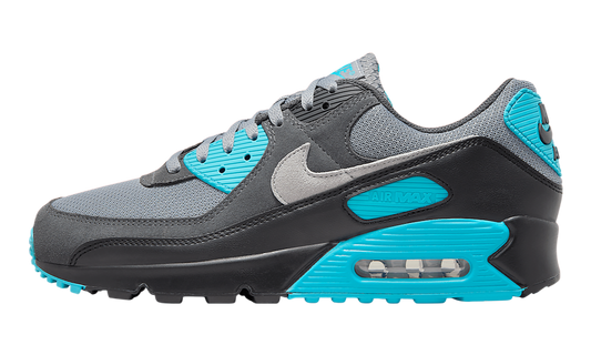 Air Max 90 "Dusty Cactus" DM0029 013