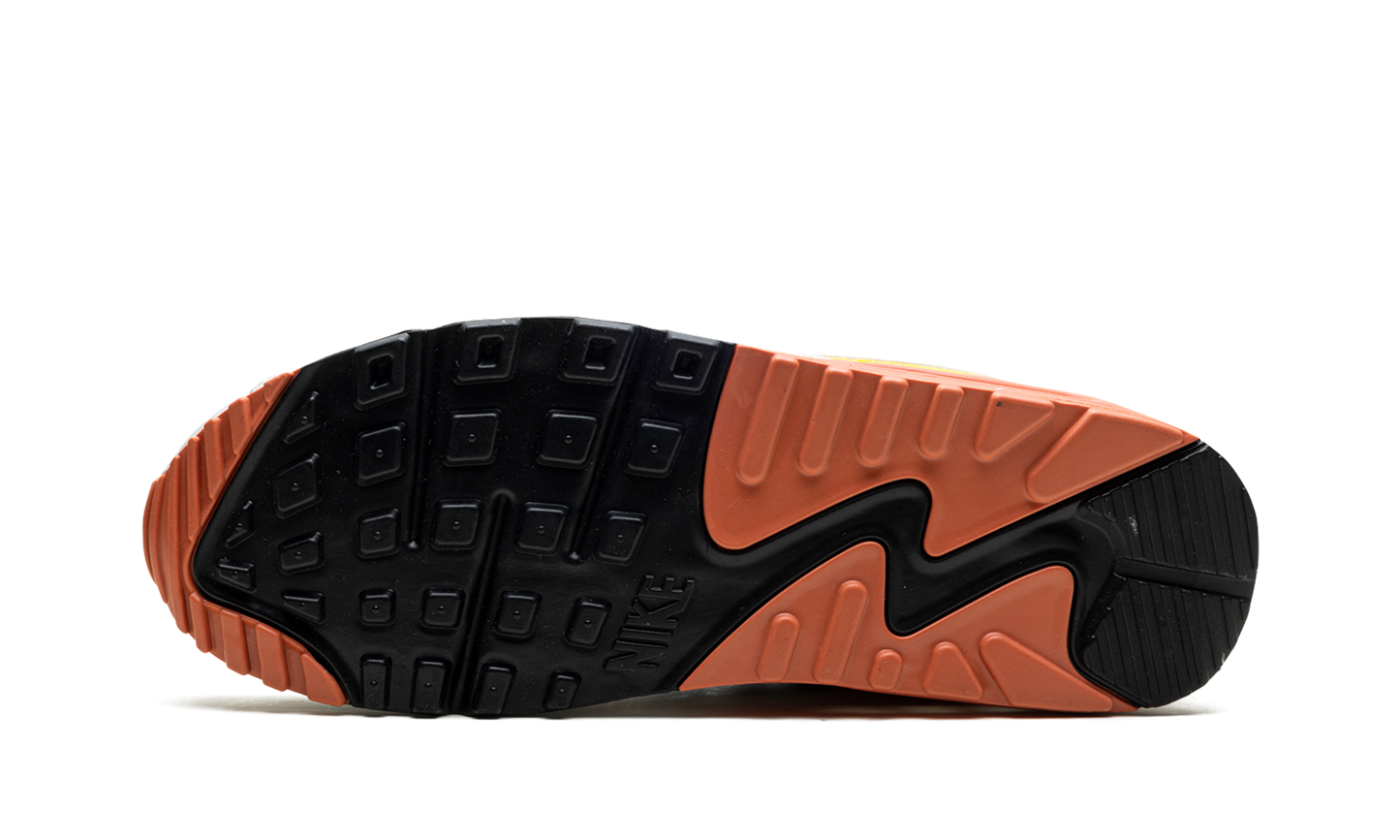 AIR MAX 90 MNS WMNS DJ9991 100