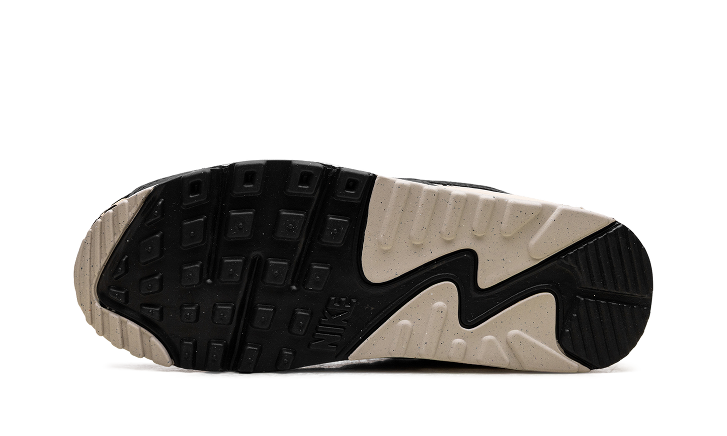 Air Max 90 WMNS "Leopard" IF1619 100