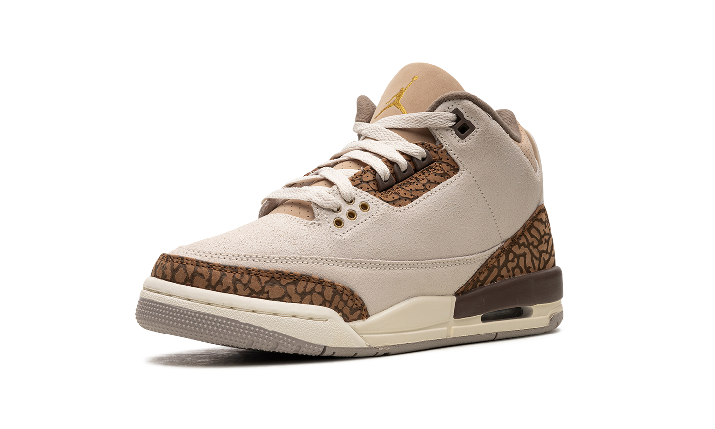 Air Jordan 3 GS "Palomino" DM0967 102