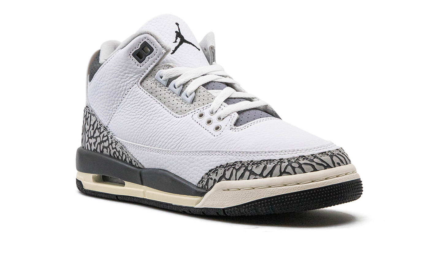 Air Jordan 3 GS "Hide N Sneak" DX6665 100