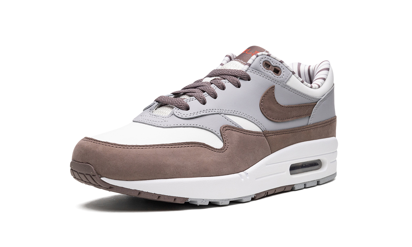 Air Max 1 "Shima Shima" FB8916 100