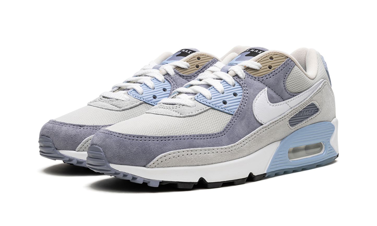 Air Max 90 "Ashen Slate" DM0035 400