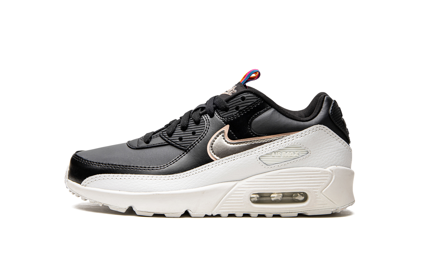Air Max 90 LTR GS DJ0414 001