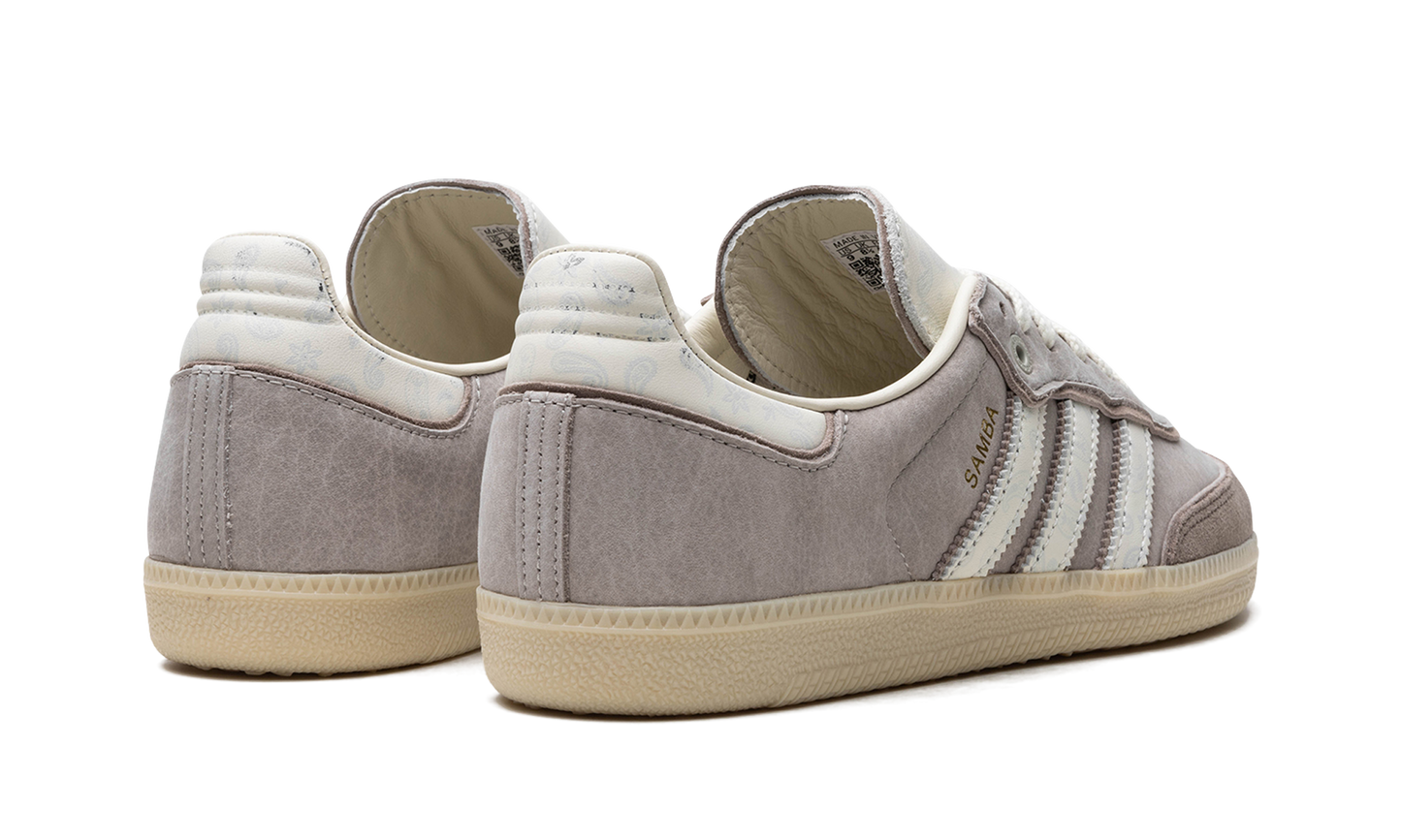 Samba OG Offspring "Consortium Cup" IG1954