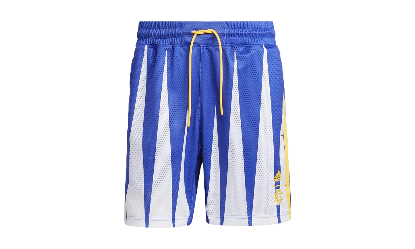 Hoops Summer Essentials Shorts "Eric Emanuel Sonic Ink" H56399
