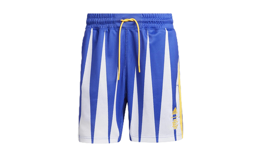 Hoops Summer Essentials Shorts "Eric Emanuel Sonic Ink" H56399