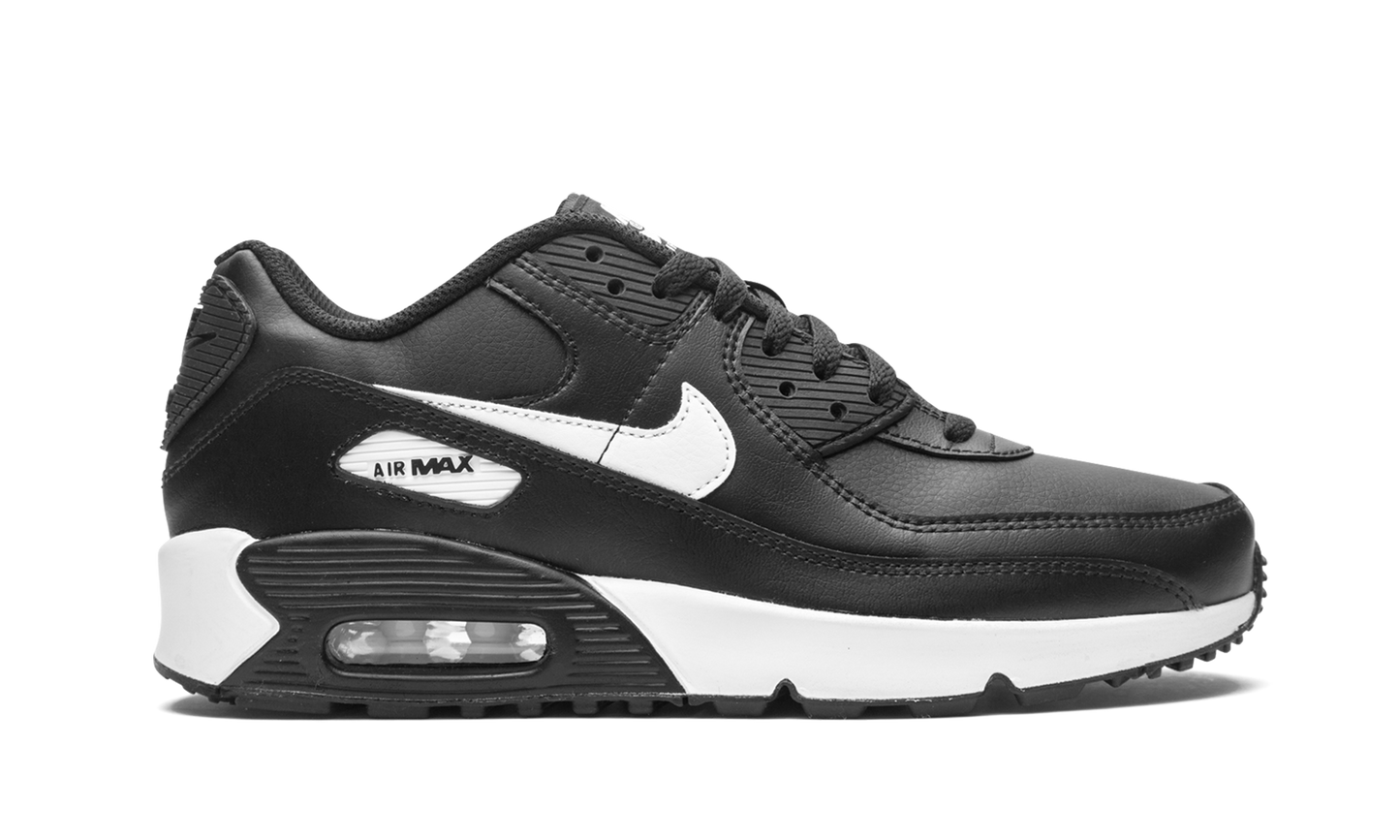 Air Max 90 LTR (GS) CD6864 010