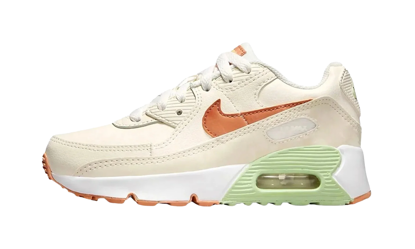 Air Max 90 LTR PS "Pale Ivory" CD6867 122