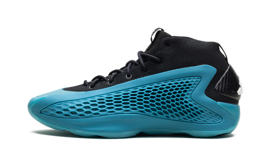 AE 1 GS "Arctic Fusion"