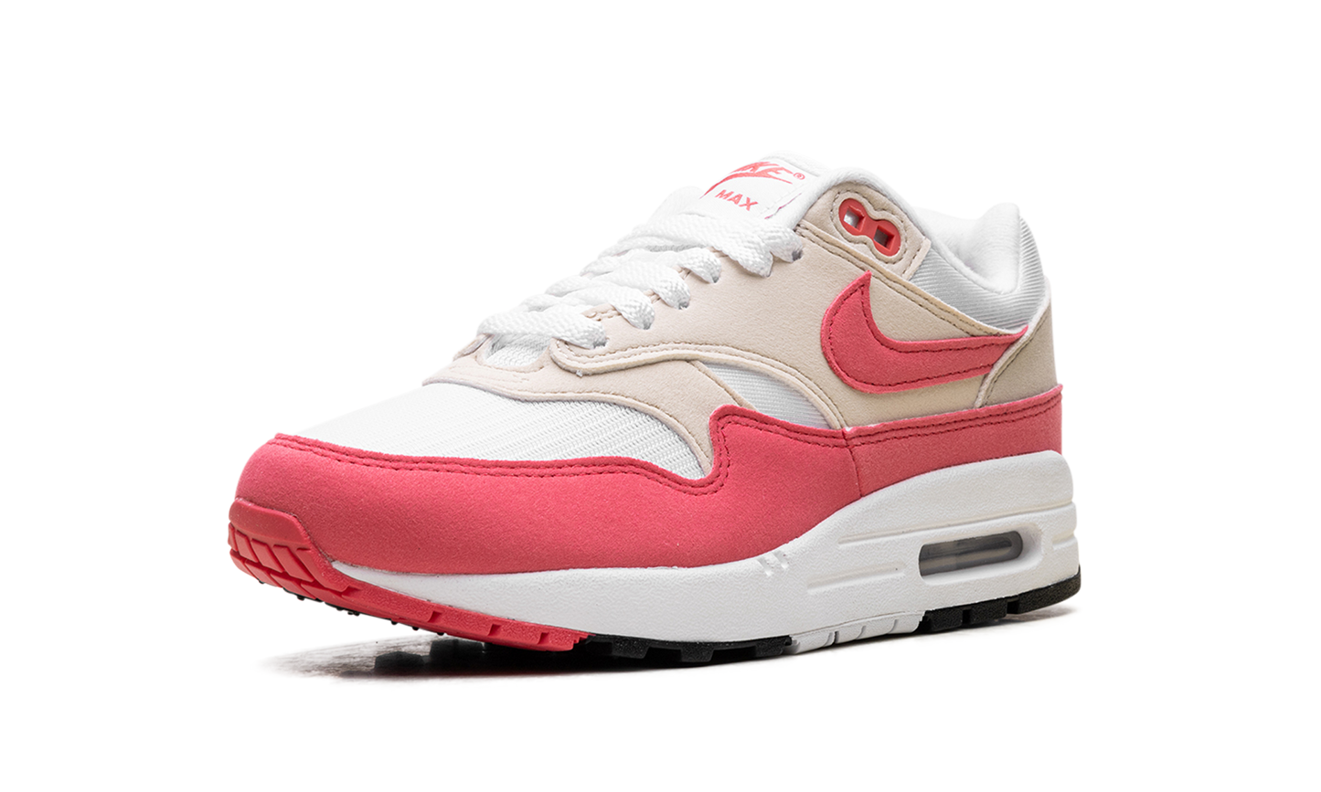 Air Max 1 WMNS "Aster Pink" DZ2628 110