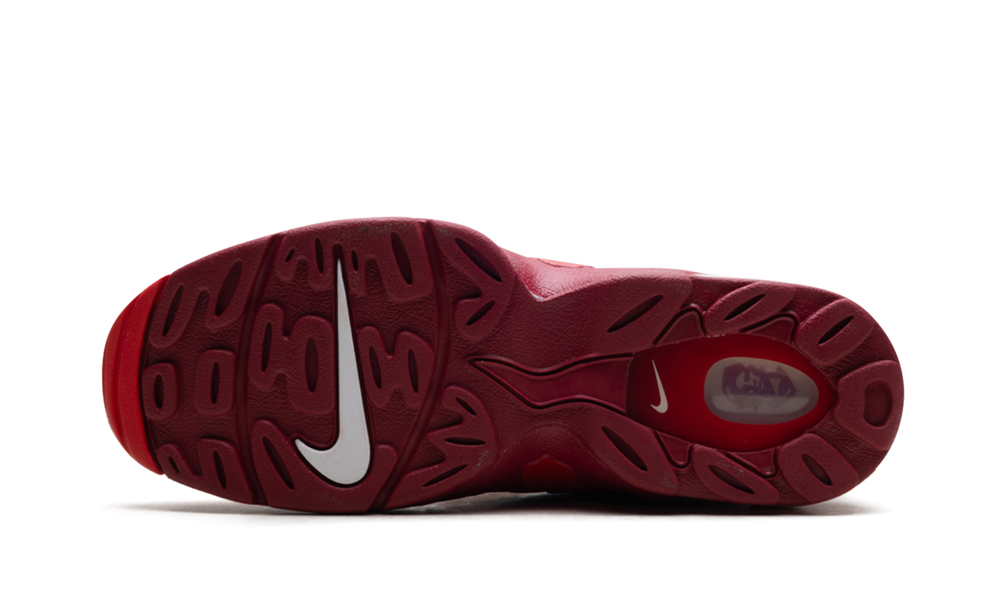 Air DT Max '96 "Love Letter To Connie" IF1617 600