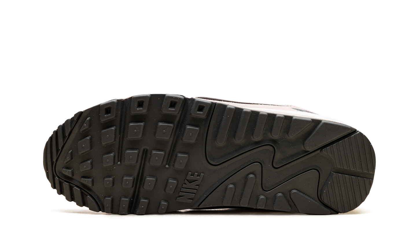 Air Max 90 Futura WMNS "Pale Ivory Platinum Violet" DM9922 106