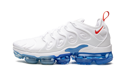 Air VaporMax Plus DV2119 100