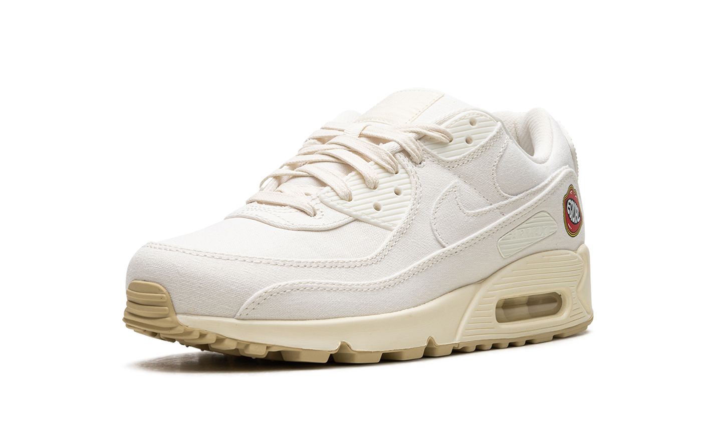 AIR MAX 90 MNS WMNS "The Future is Equal" FD0867 133