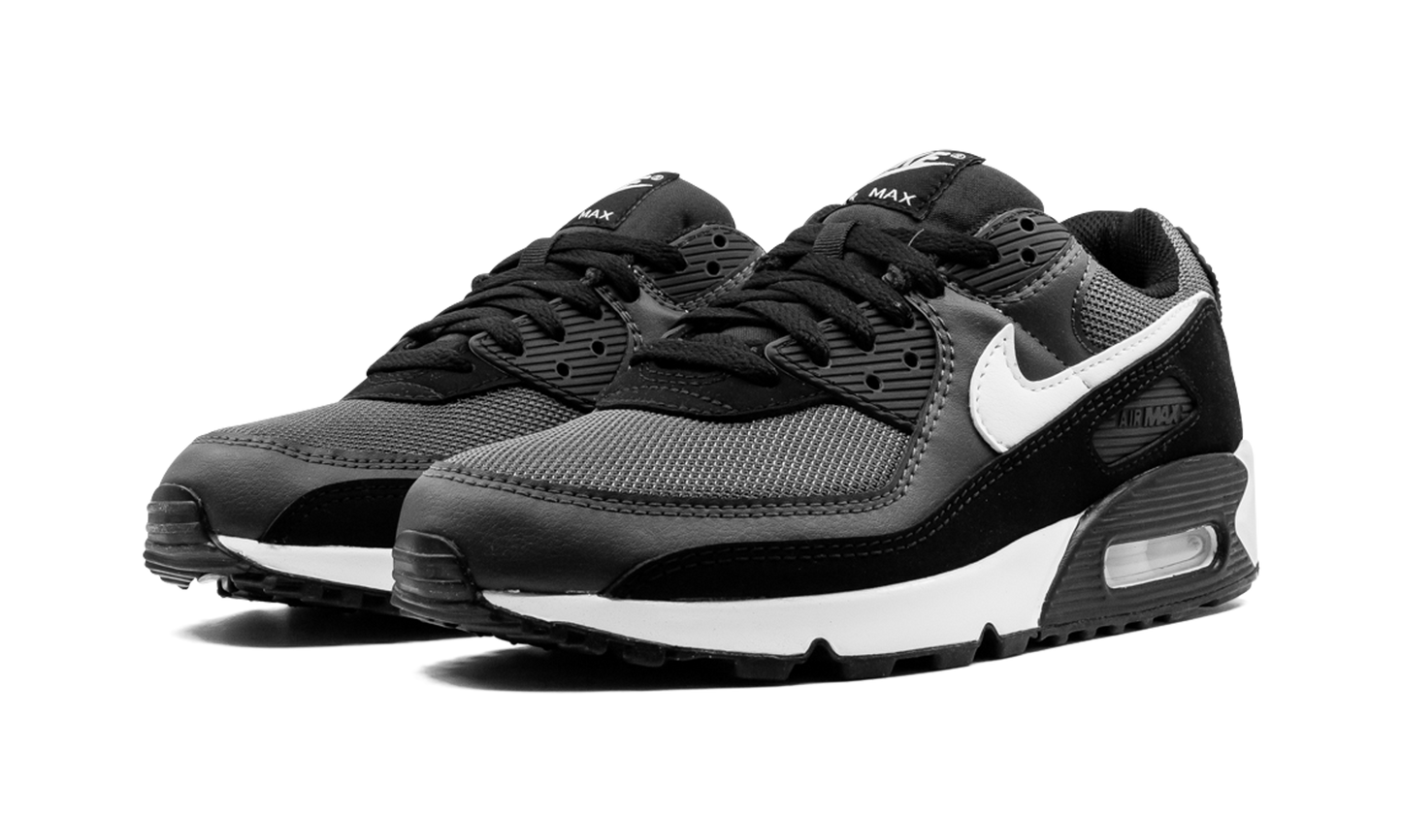 Air Max 90 "Iron Grey" CN8490 002