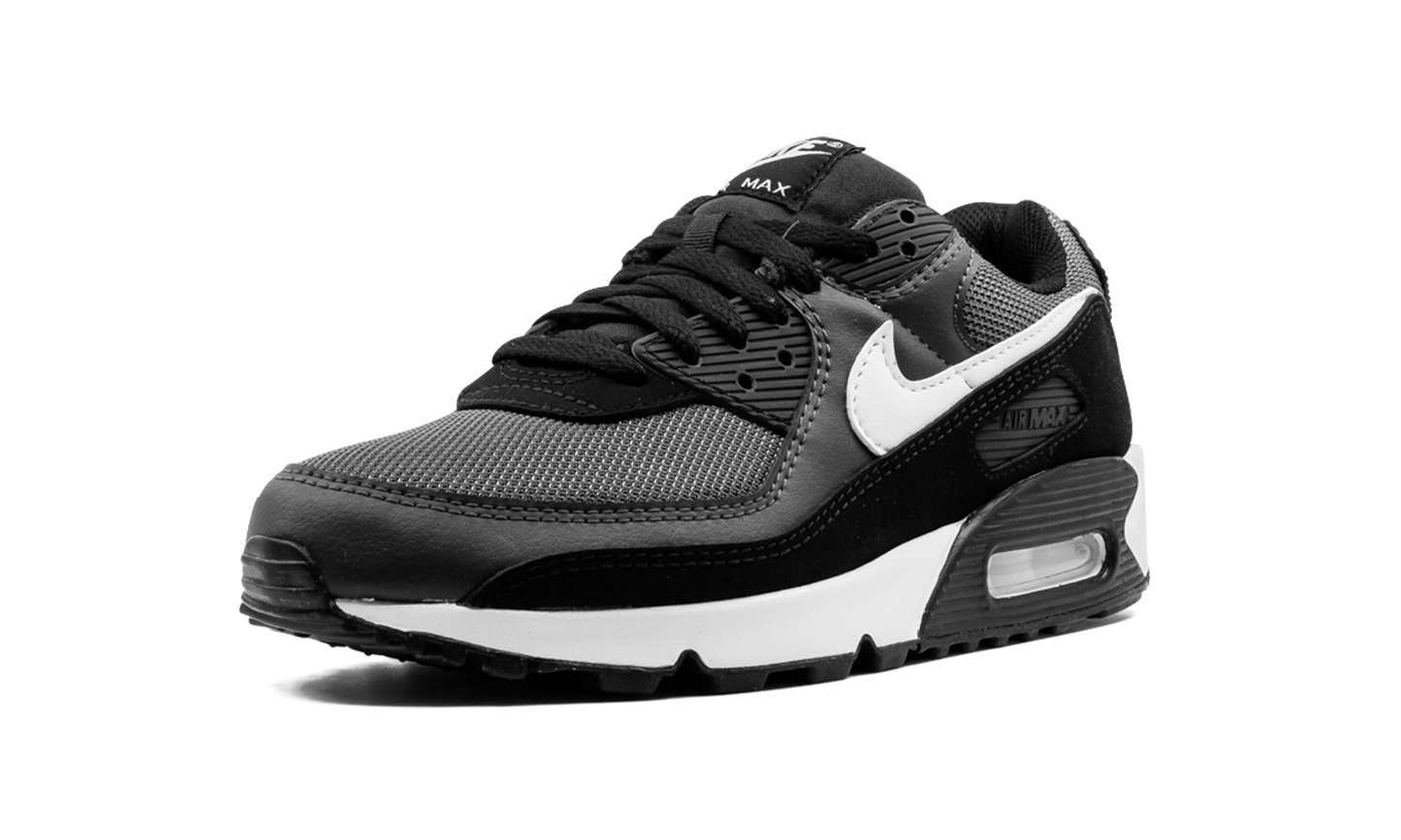 Air Max 90 "Iron Grey" CN8490 002