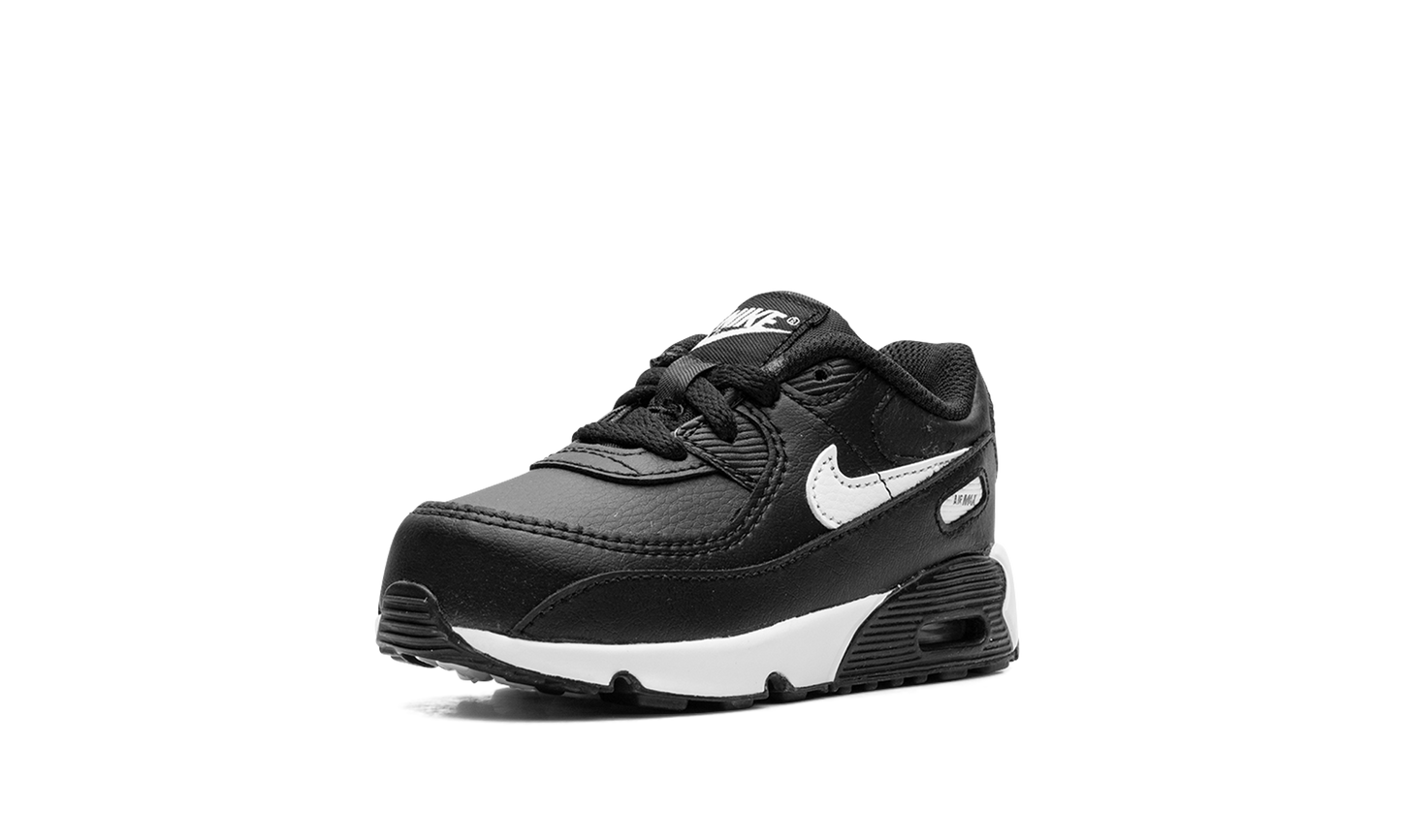 Air Max 90 (TD) CD6868 010