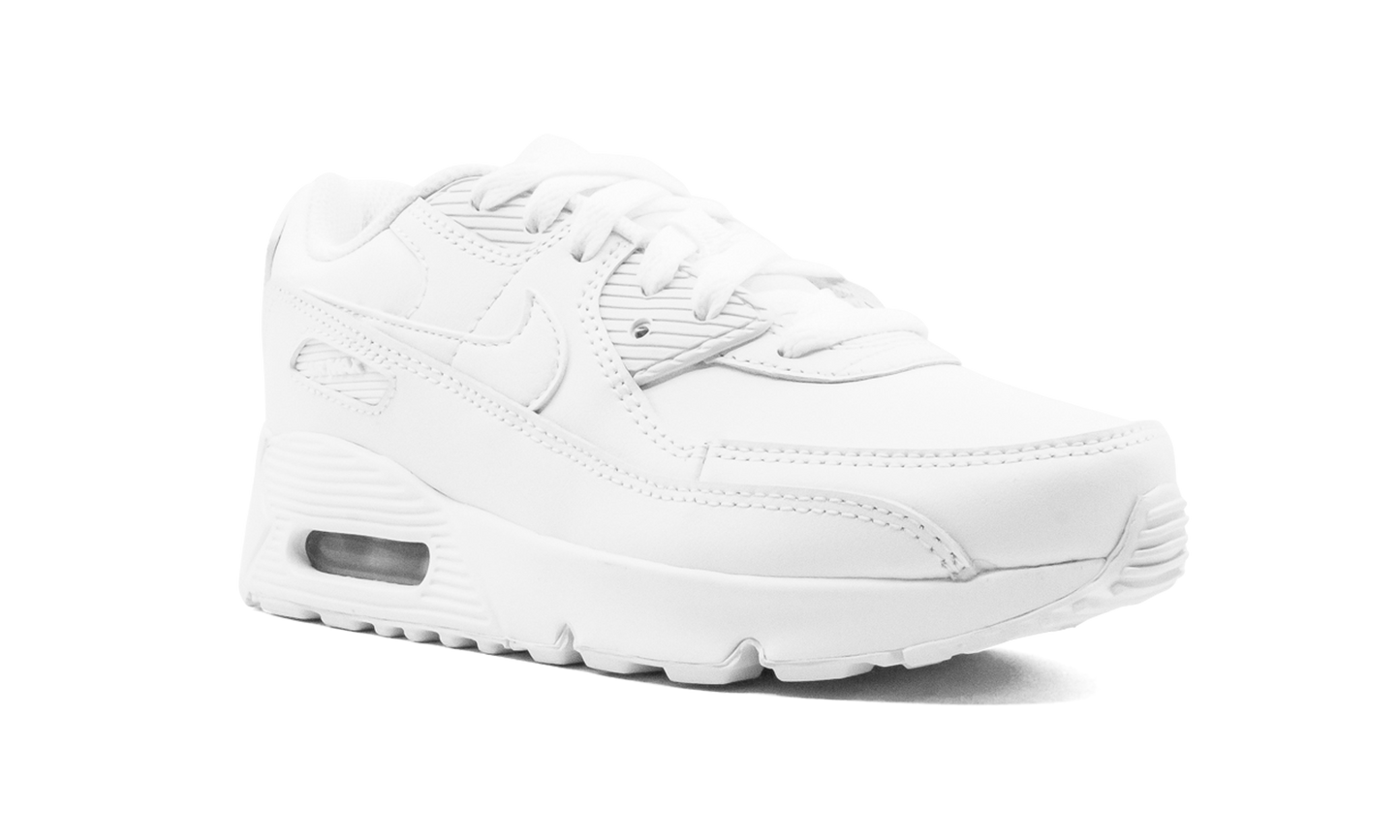 Air Max 90 CD6867 100