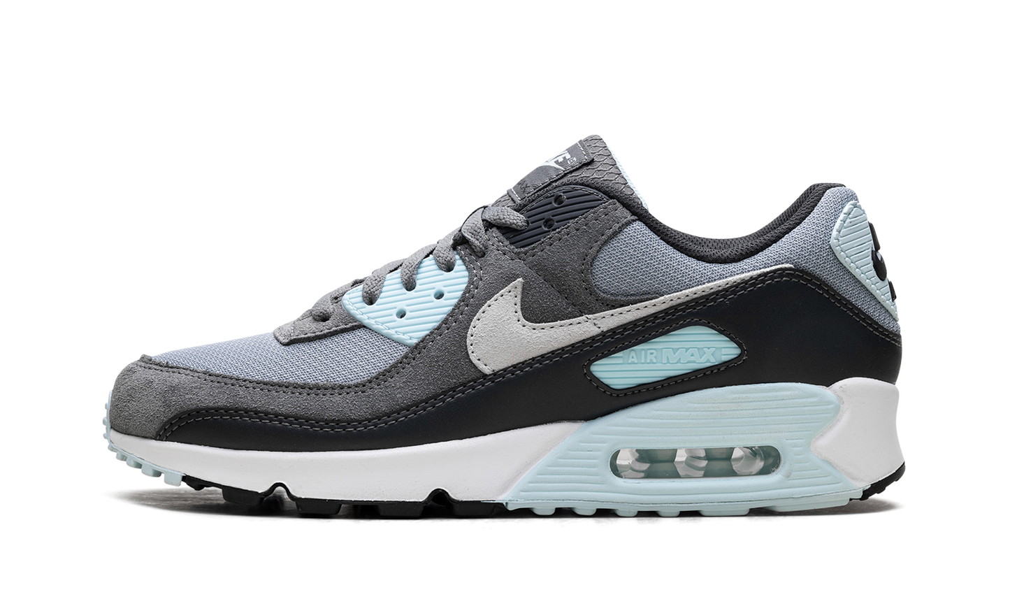 Air Max 90 "Pumice" DM0029 009