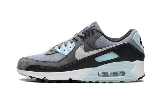 Air Max 90 "Pumice" DM0029 009