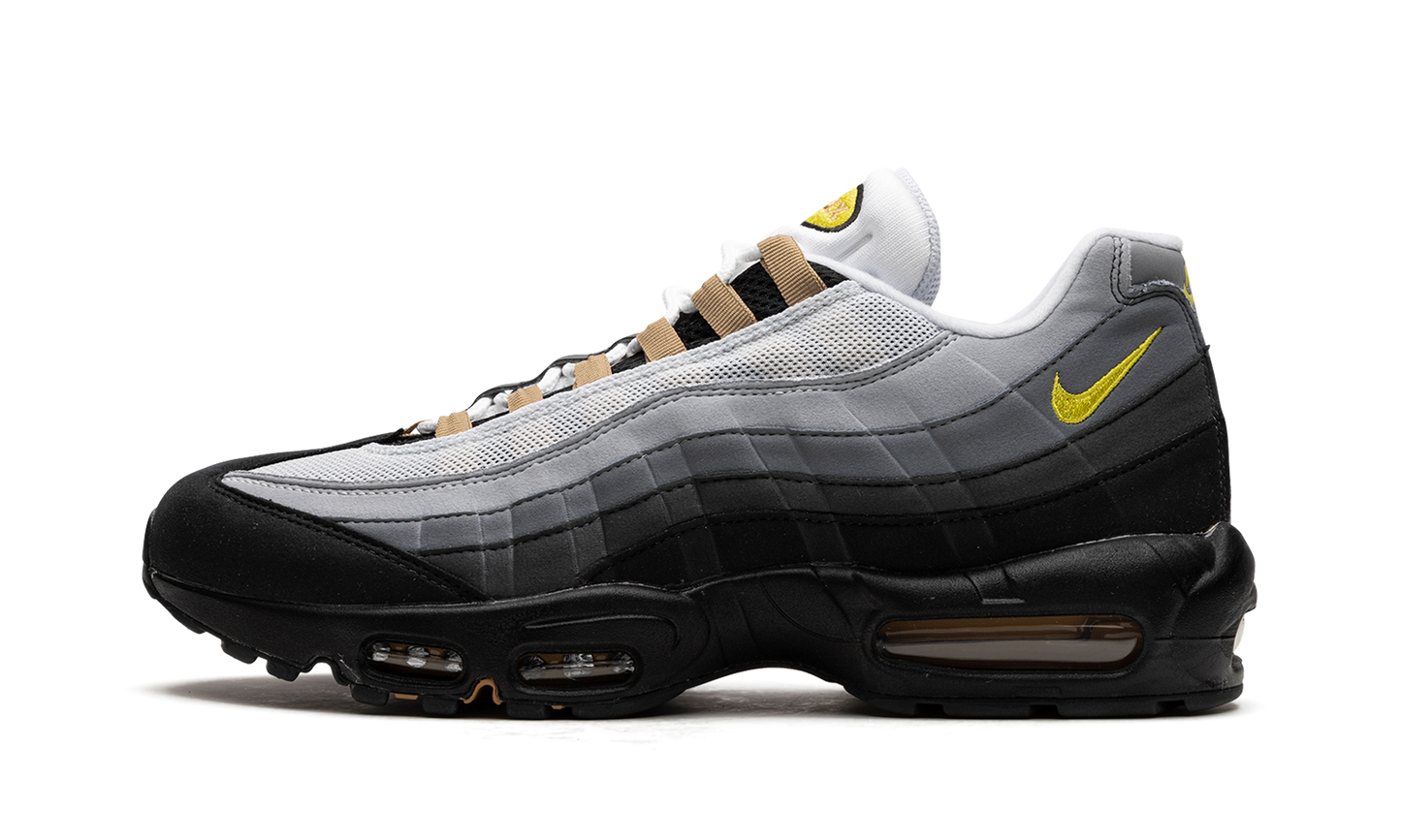 Air Max 95 "ICONS" DX4236 100