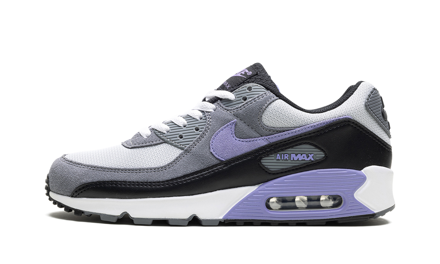 Air Max 90 "Light Thistle" DM0029 014