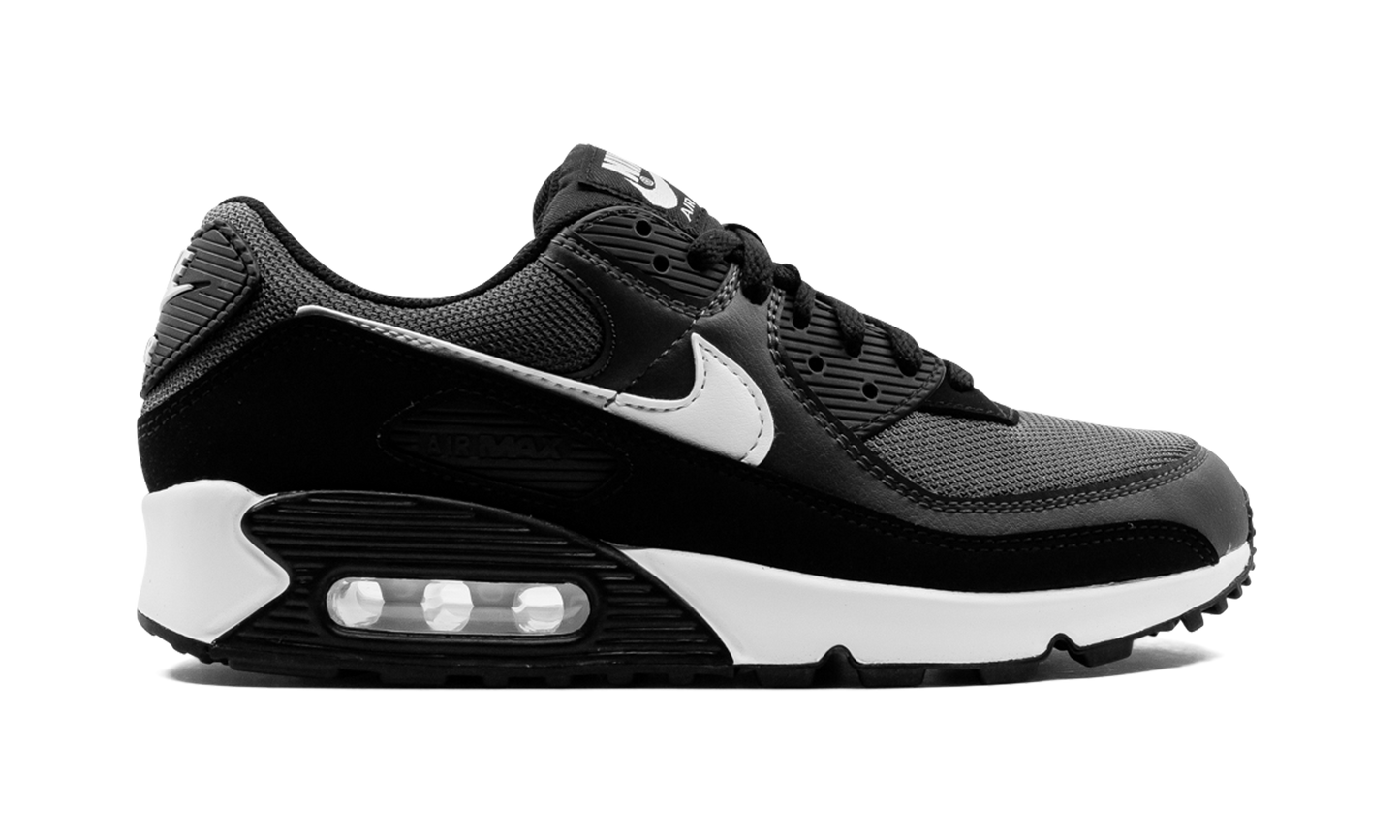Air Max 90 "Iron Grey" CN8490 002