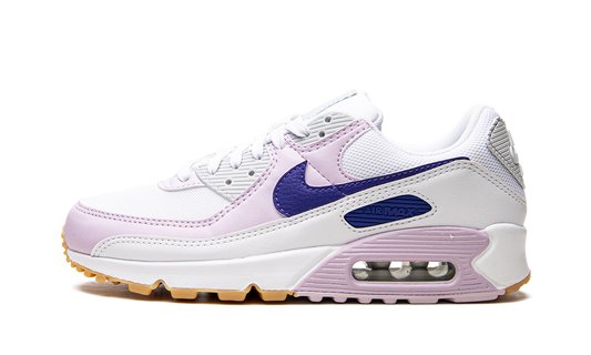 AIR MAX 90 WMNS DX3316 100